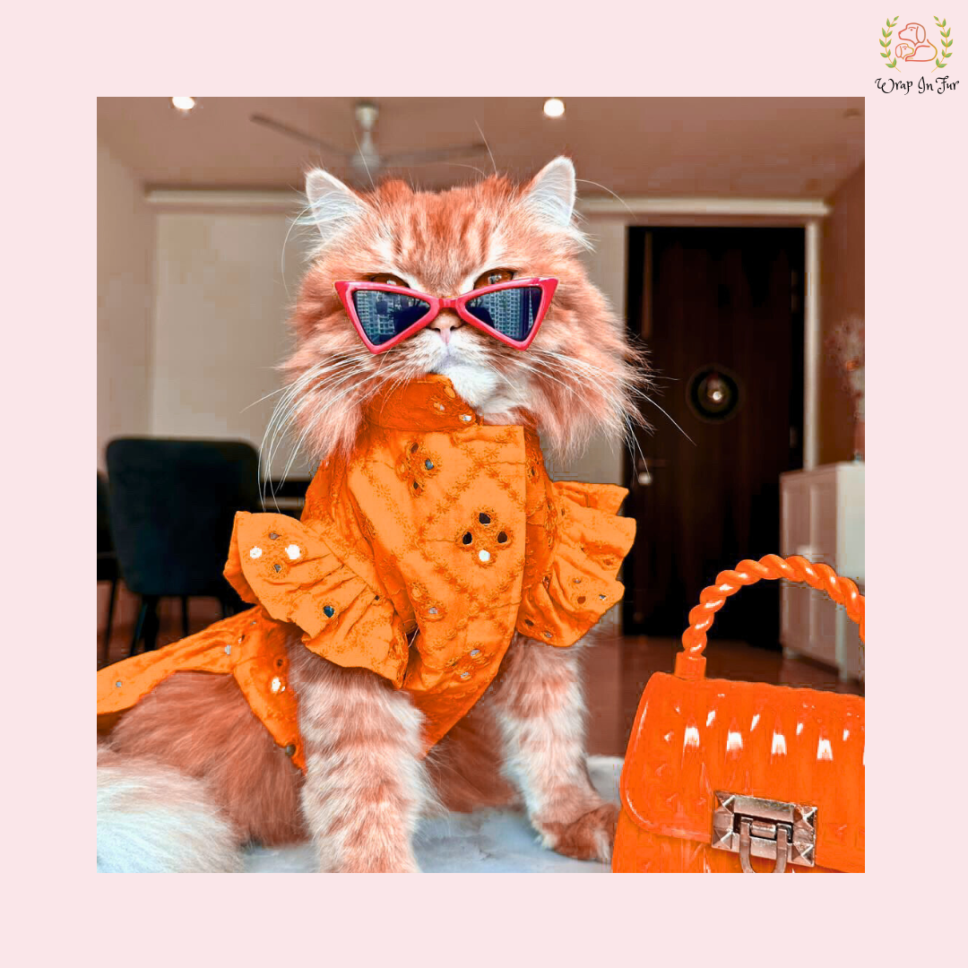 Orange Mirror Dog Frock – Designer Dog Wedding Dress
