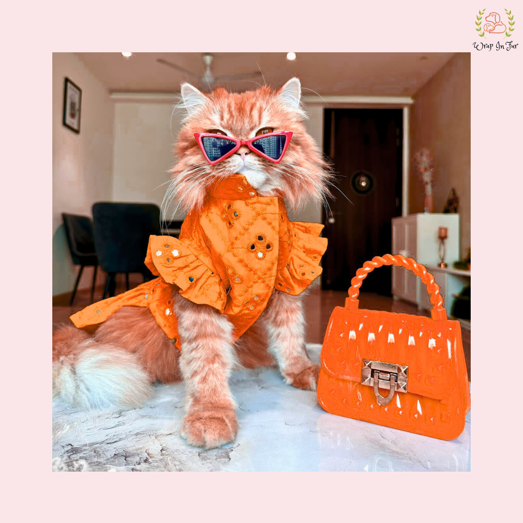 Orange Mirror Dog Frock – Designer Dog Wedding Dress