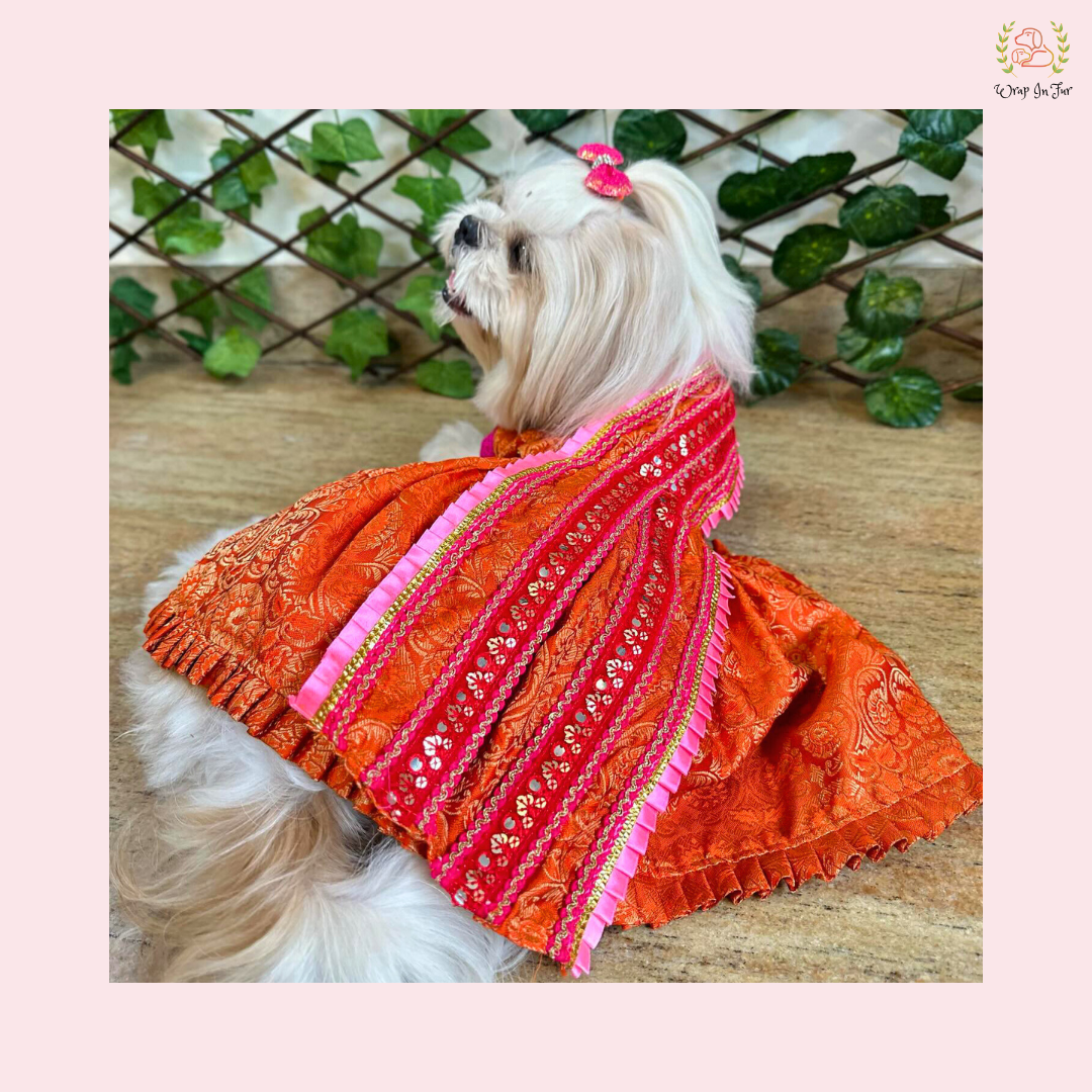 Orange & Pink Brocade Dog Bridal Dress - Traditional Saree Style Frock