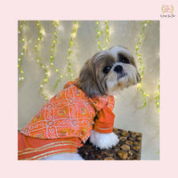 Orange Resham Gota Dog Kurta Jacket Set - Indian Dog Ethnic Wear Dress