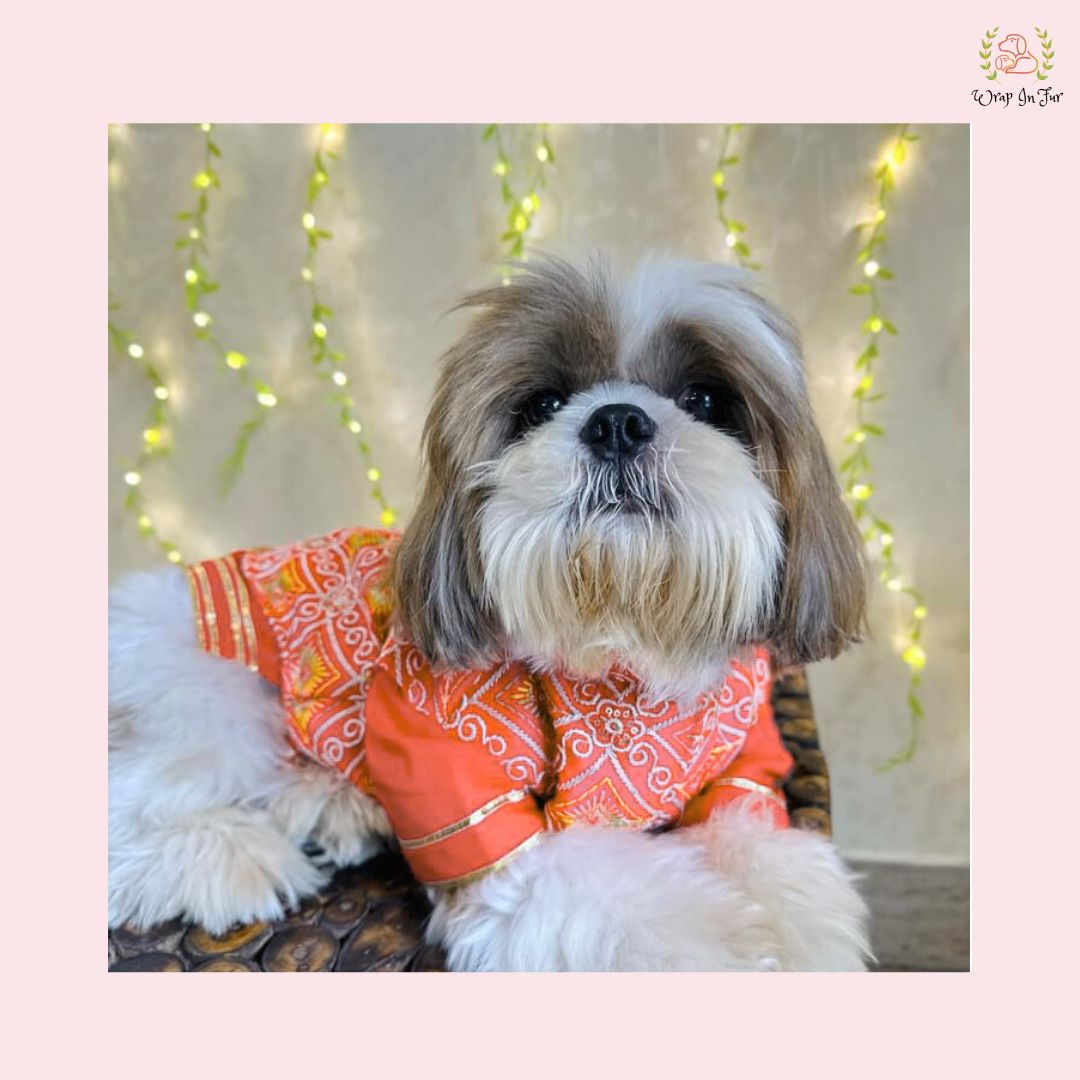 Orange Resham Gota Dog Kurta Jacket Set - Indian Dog Ethnic Wear Dress