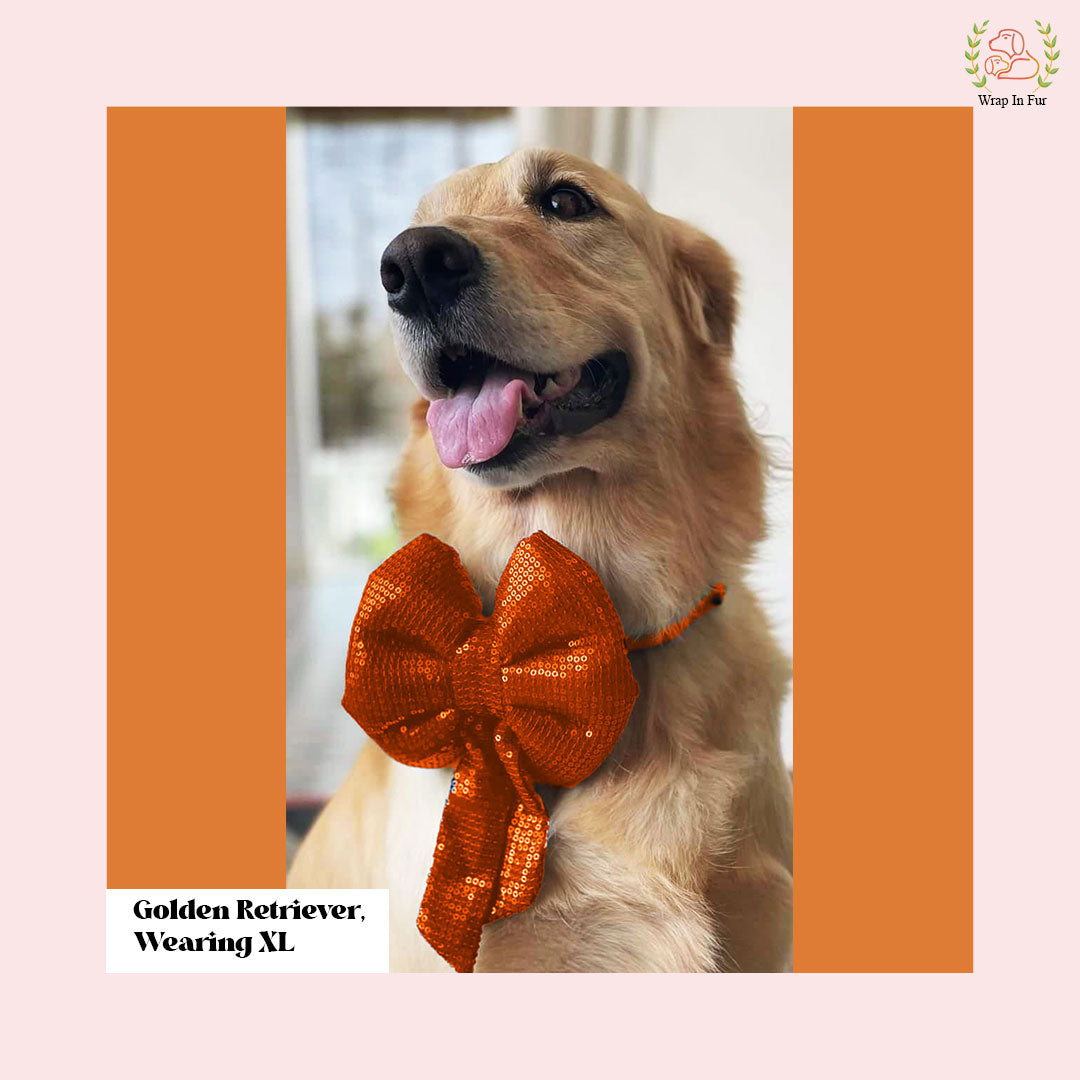 Orange Sequin Dog Bow - Sparkly Holiday Dog Accessory for Pets