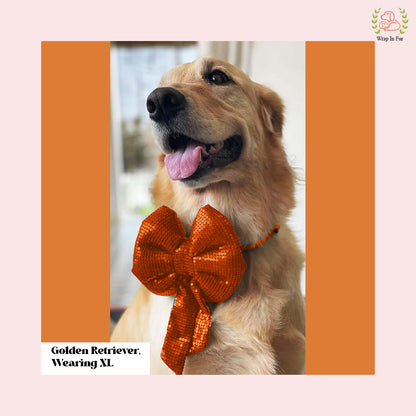 Orange Sequin Dog Bow - Sparkly Holiday Dog Accessory for Pets