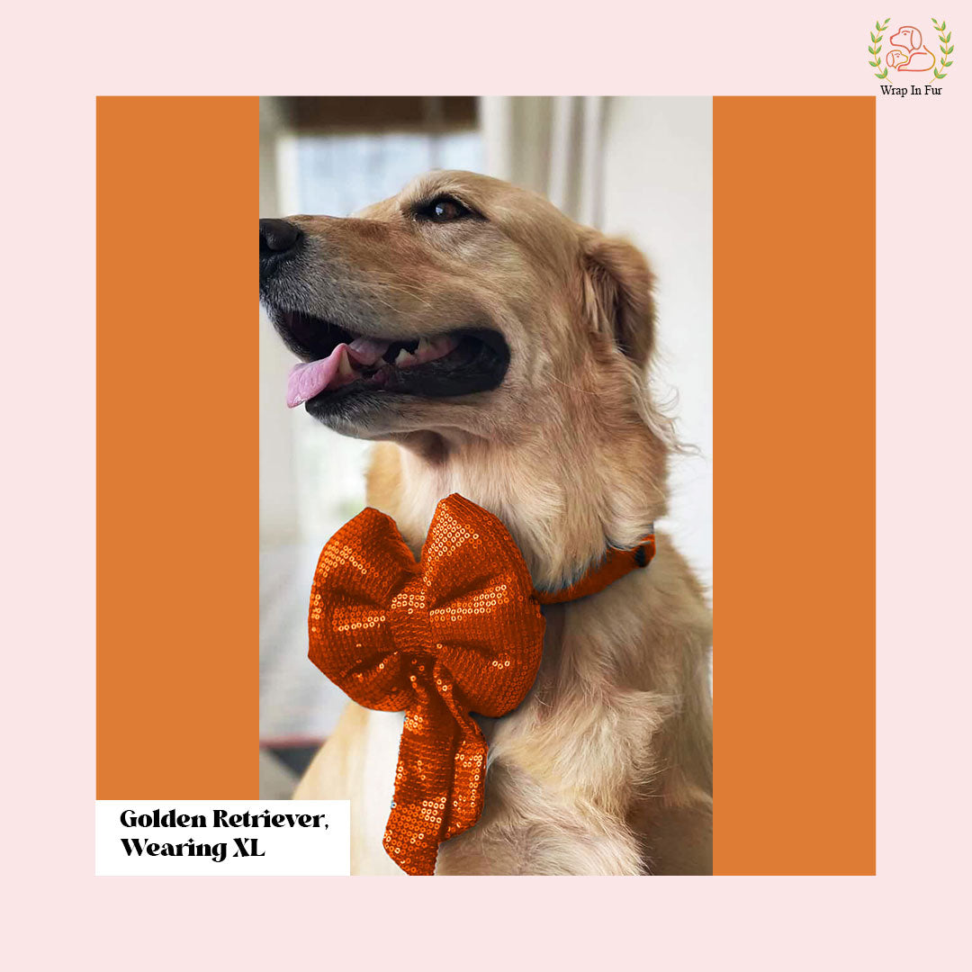 Orange Sequin Dog Bow - Sparkly Holiday Dog Accessory for Pets