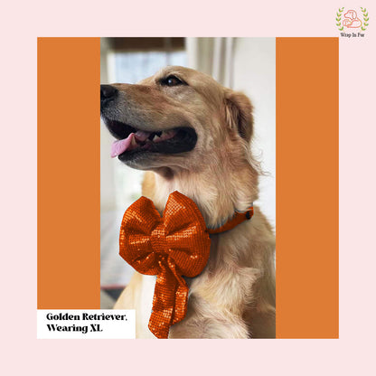 Orange Sequin Dog Bow - Sparkly Holiday Dog Accessory for Pets