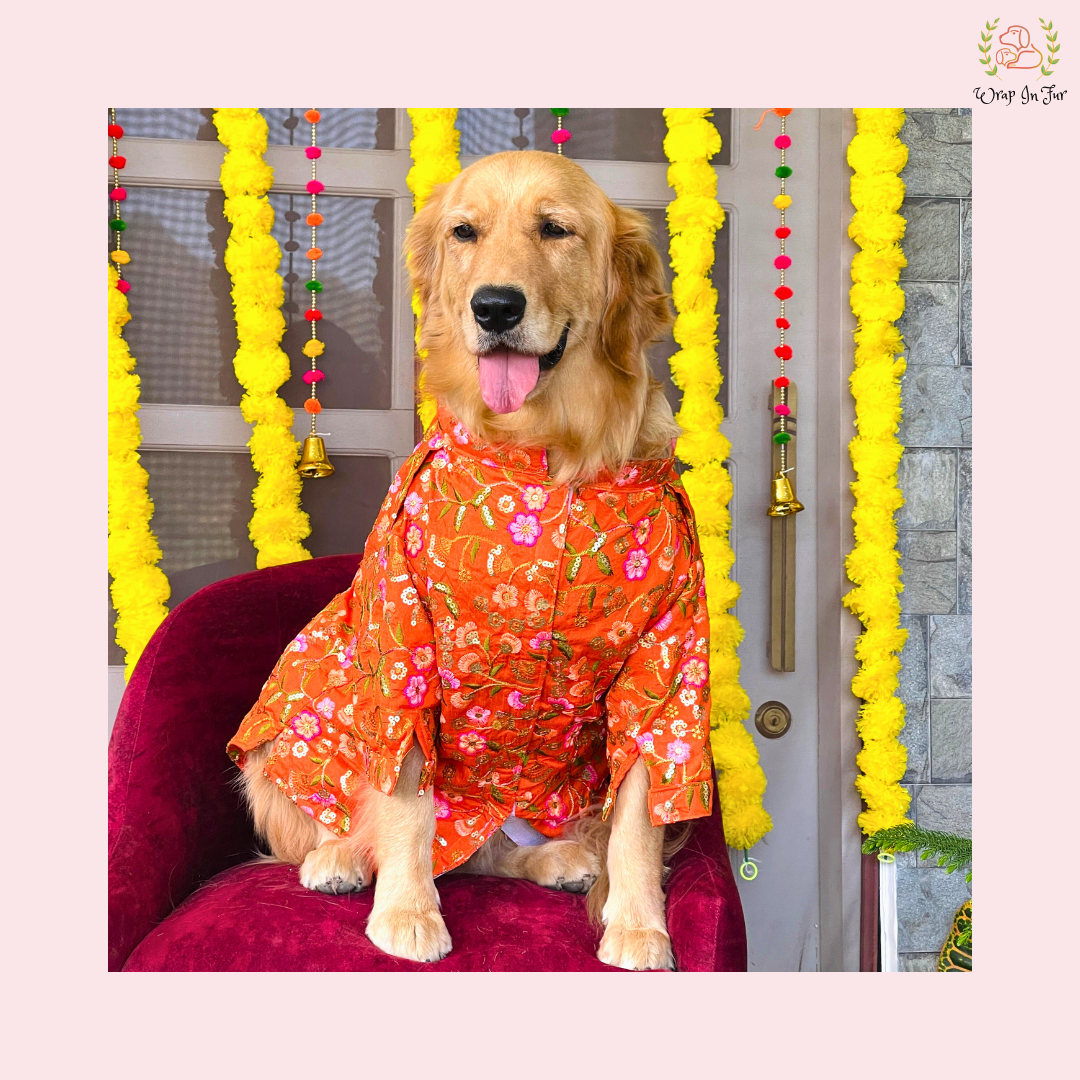 Orange Floral Dog Kurta With Dupatta