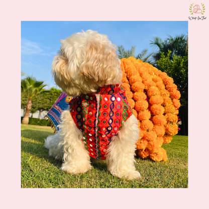 Orange Multicolor Jacket