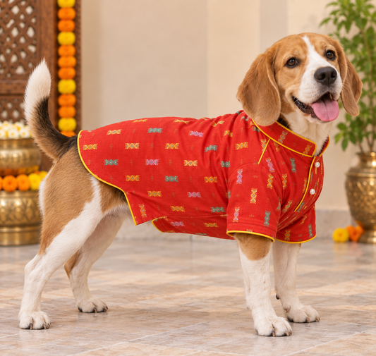 Orange Cotton Dog Kurta