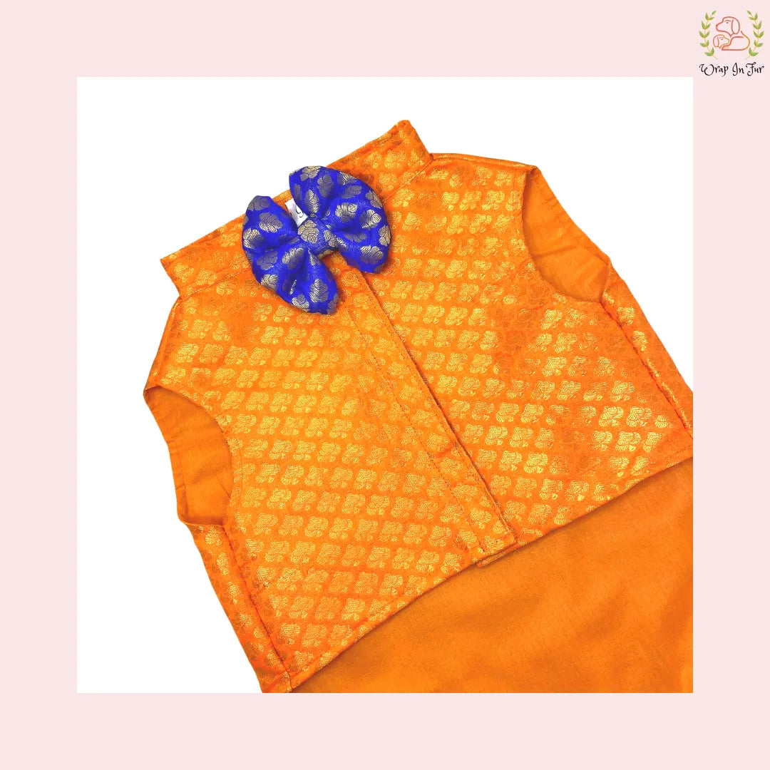 Orange festive dog jacket for wedding