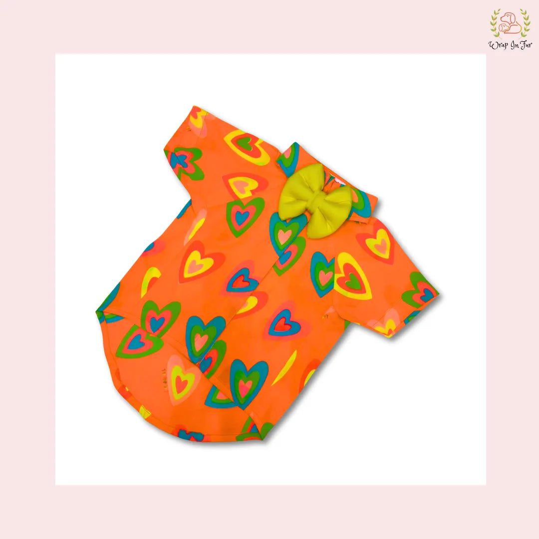 orange neon dog shirt with yellow bow