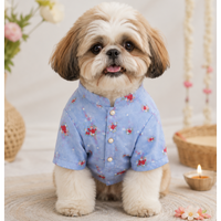 Pastel Blue Embroidered Dog Kurta
