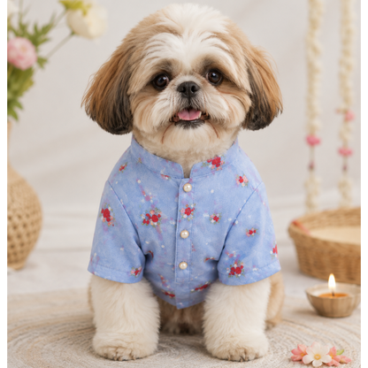 Pastel Blue Embroidered Dog Kurta