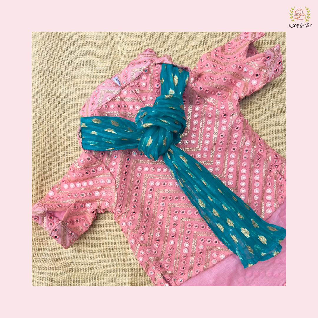 Pastel Pink Embroidered Dog Kurta Set with Teal Dupatta - Ethnic Wear
