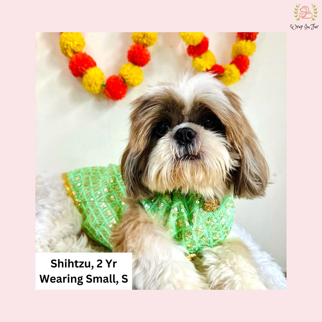 Pastel green shihtzu indian outfit for dog