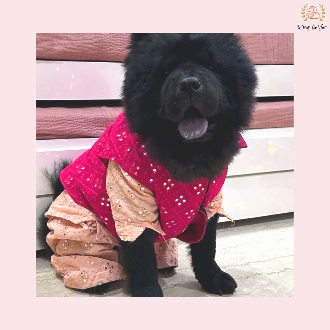 Chow Chow Peach pink Dog kurta set 
