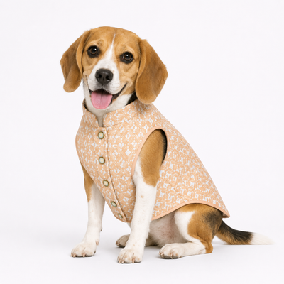 Peach Diamond Weave Nawab Dog Kurta