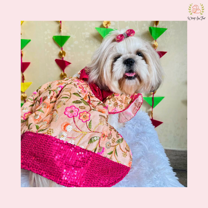 Peach Pink Dog Wedding Dress – Embroidered Bridal Lehenga for Dogs