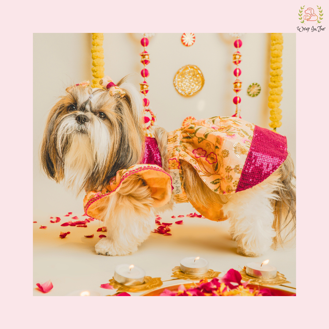 Peach Pink Dog Wedding Dress – Embroidered Bridal Lehenga for Dogs