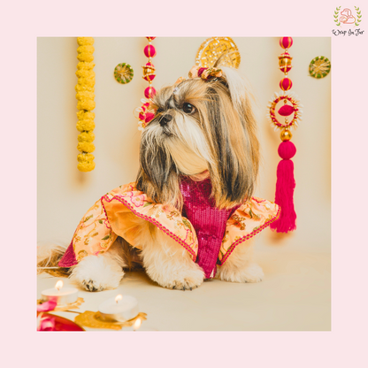 Peach Pink Dog Wedding Dress – Embroidered Bridal Lehenga for Dogs