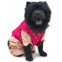 Peach Pink & Red Mirror Work Dog Kurta Set - Indian Dog Ethnic Wear