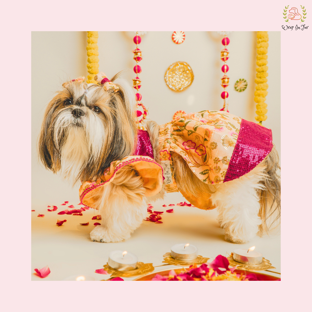 dog lehenga online