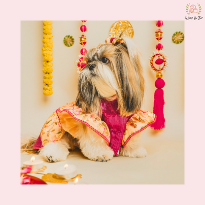 indian outfits for dogs
