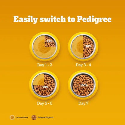 Pedigree Adult Dry Dog Food Meat & Rice