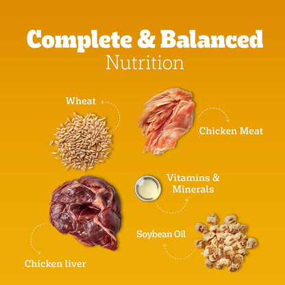 Pedigree Adult Wet Dog Food Chicken & Liver Chunks in Gravy