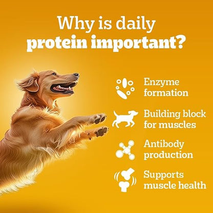 Pedigree Adult Wet Dog Food Chicken & Liver Chunks in Gravy