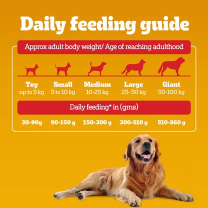 Pedigree Adult & Puppy 100% Vegetarian Dog Dry Food