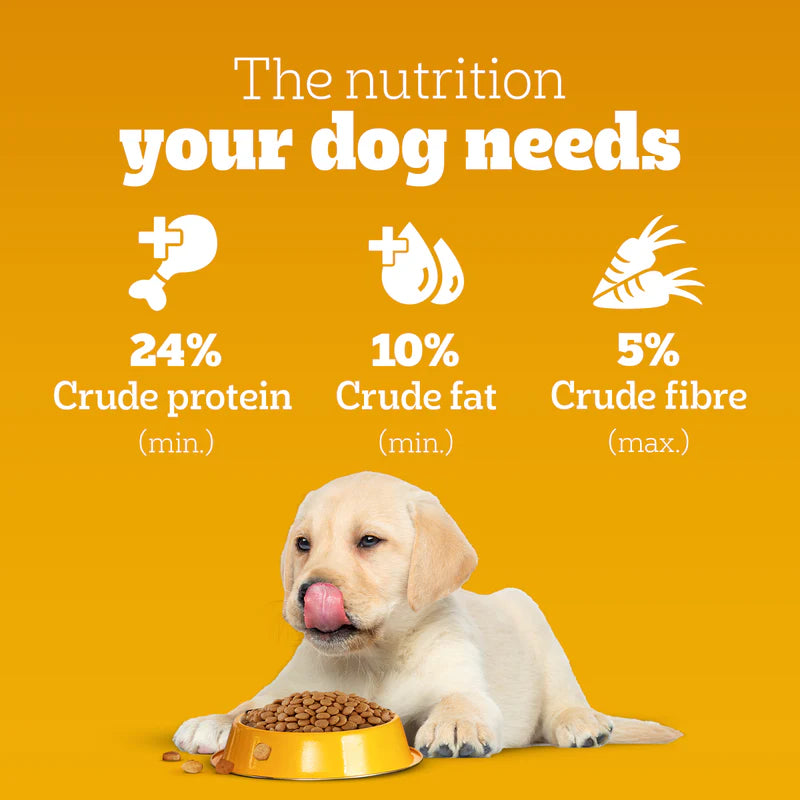 Pedigree Meat & Milk Puppy Dry Dog Food