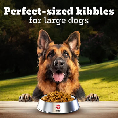  Nutrition Active Adult Dry Dog Food