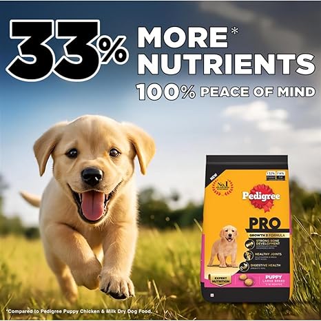 Pedigree PRO Large Breed Puppy Dog Dry Food