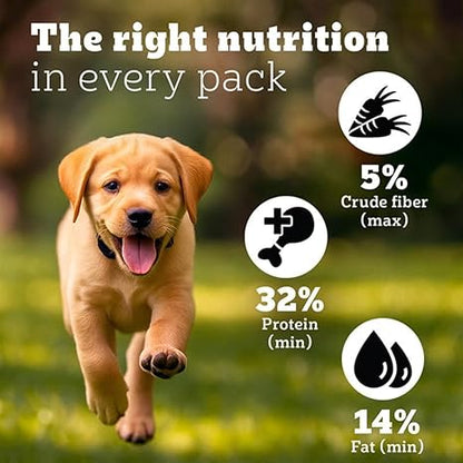 Pedigree PRO Large Breed Puppy Dog Dry Food