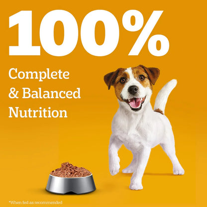 Pedigree Puppy Chicken & Liver Chunks in Gravy Wet Dog Food - 130g