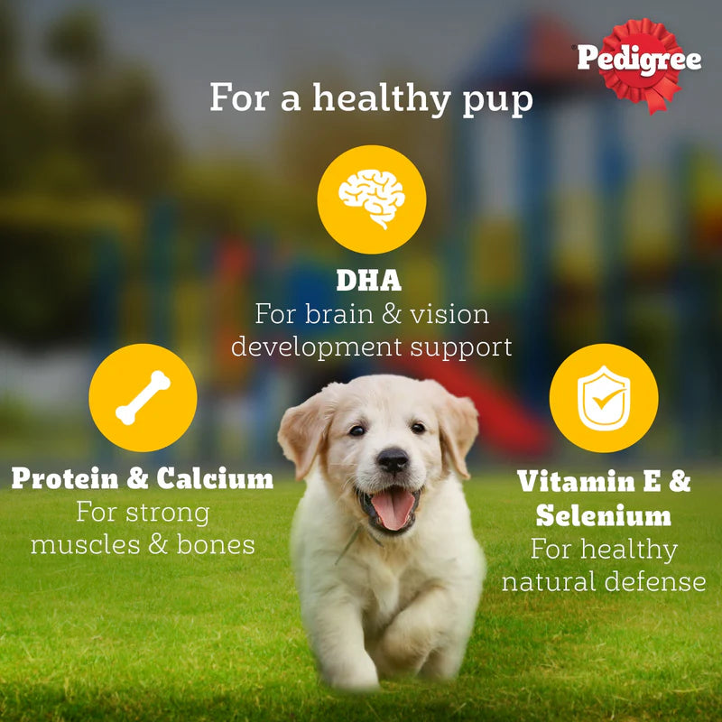 Pedigree Puppy Lamb Chunks in Gravy Wet Dog Food - 130g