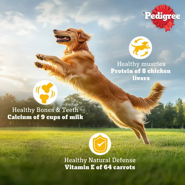 Pedigree Adult Dry Dog Food Meat & Rice