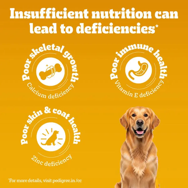 Pedigree Adult Dry Dog Food Meat & Rice