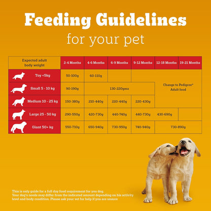 Pedigree Chicken & Milk Puppy Dry Food for Dogs