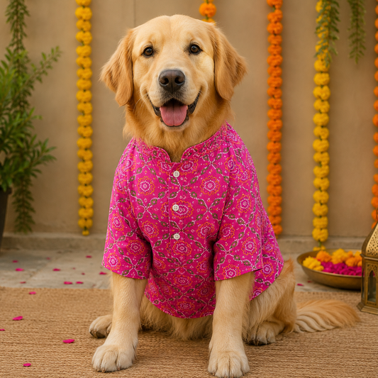 Dog kurta