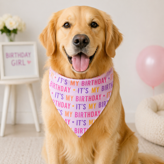 Pink Birthday Bandana For Dogs