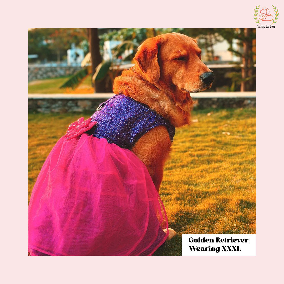 shop pink dog birthday frock for golden retriever