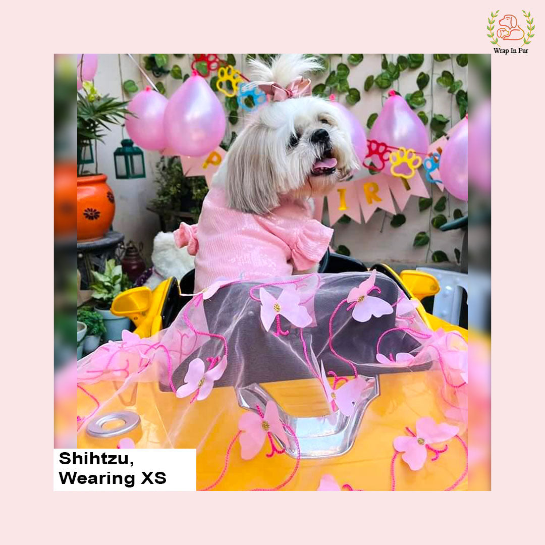 shop female shihtzu dog birthday dress online
