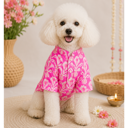 Dog Kurta