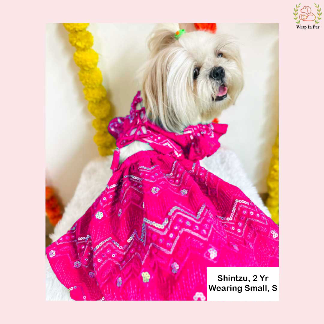 Pink Golden dog Lehenga