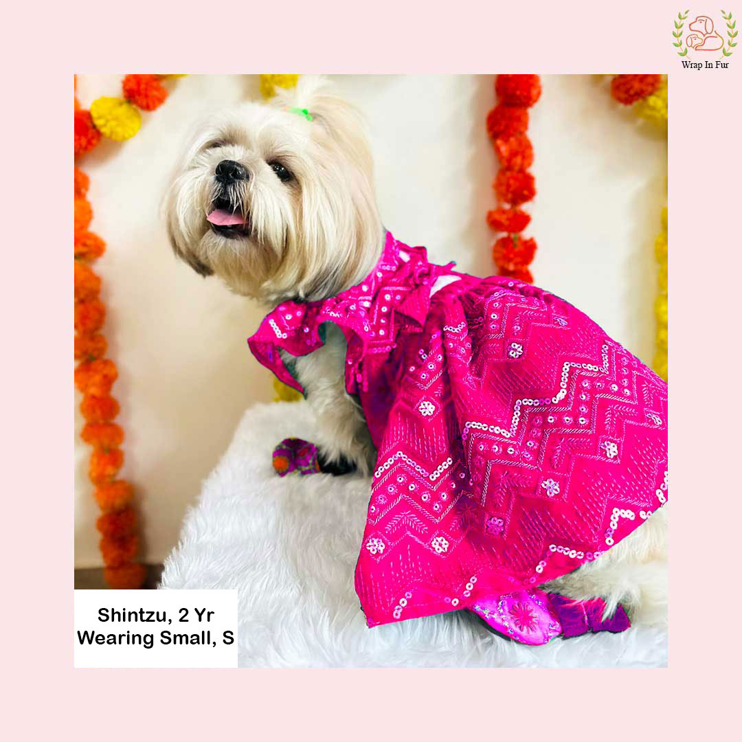 Shihtzu Pink golden dog lehenga for wedding