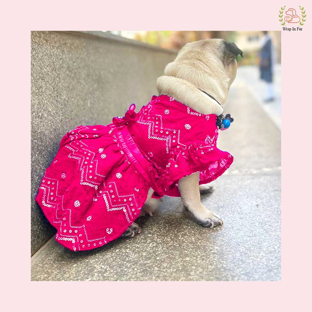 Pink Golden Lehenga for small dog