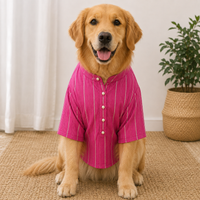 Pink Gota Dog Kurta