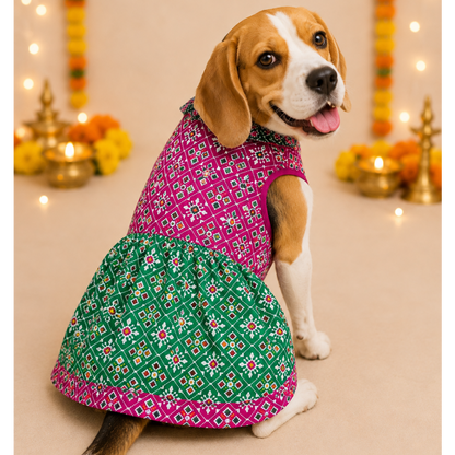 Pink Green Patola Dog Frock