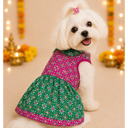 Dog Frock